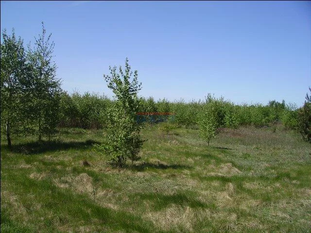 Działka 1 197,00 m², oferta nr , 19815, Prażmów