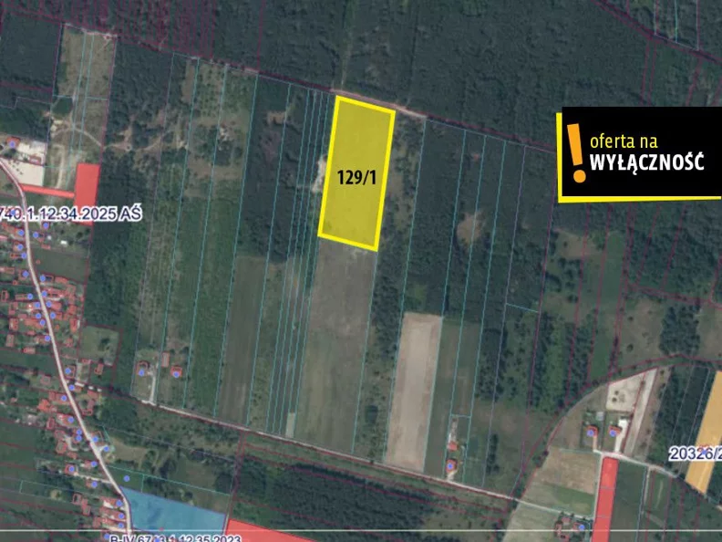 Działka 20 000,00 m², oferta nr , GH473641, Jasień