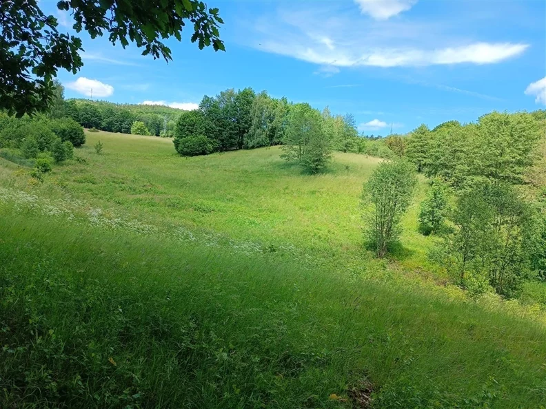 Działka 1 368,00 m², oferta nr , 551/14328/OGS, Olszyniec