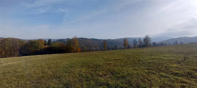 Działka 3 929,00 m², oferta nr , 294/14328/OGS, Zagórze Śląskie