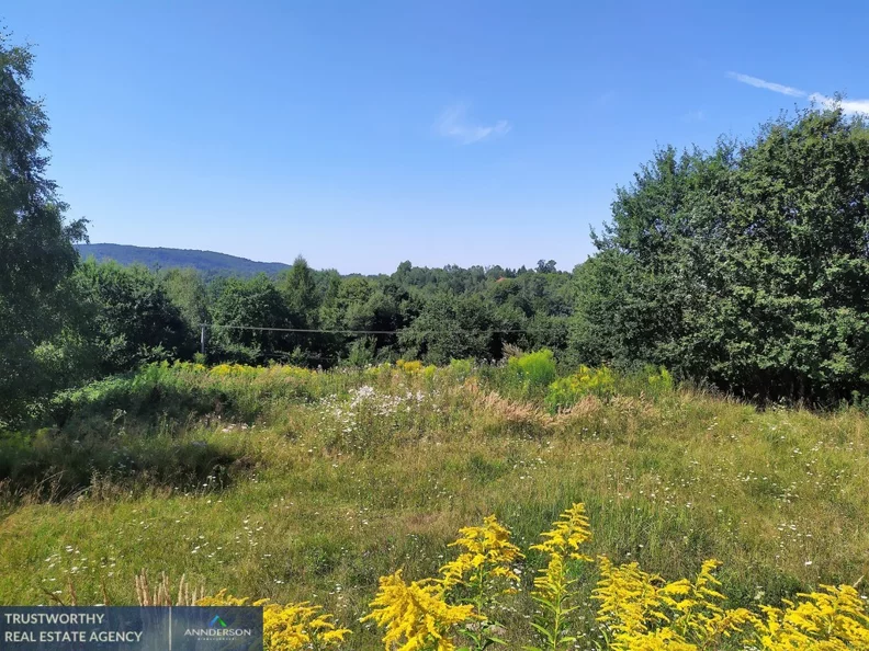 Działka 1 164,00 m², oferta nr , 408/10945/OGS, Głogoczów
