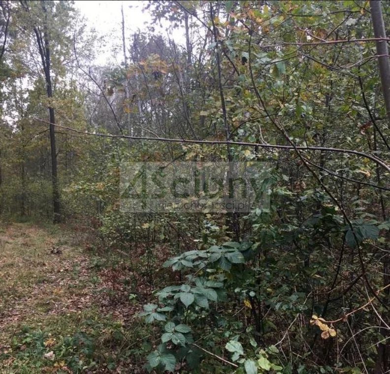 Działka 1 521,00 m², oferta nr , 7225/3098/OGS, Nowy Prażmów