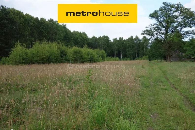 Działka 10 400,00 m², oferta nr , LIBY758, Borowiny