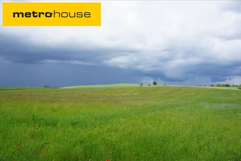 Działka 2 954,00 m², oferta nr , XUSI638, Szczybały Orłowskie