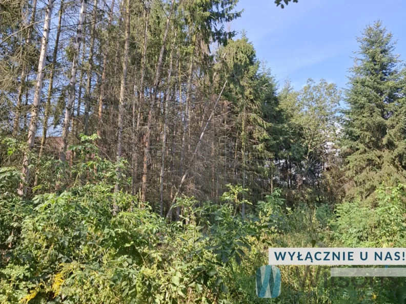 Działka 13 000,00 m², oferta nr , WIL916660, Załuski