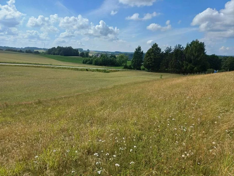 Działka 1 011,00 m², oferta nr , 44714/3186/OGS, Borzestowska Huta