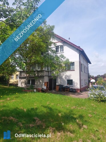 42613 - zdjęcie nr 2