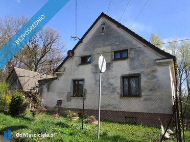 36288 - zdjęcie nr 2