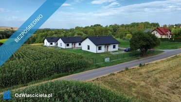43090 - zdjęcie nr 4