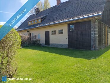 42669 - zdjęcie nr 2