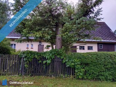 42669 - zdjęcie nr 4