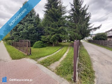 43463 - zdjęcie nr 2