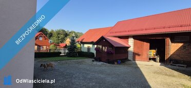 40929 - zdjęcie nr 4