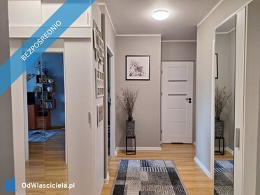 42244 - zdjęcie nr 2