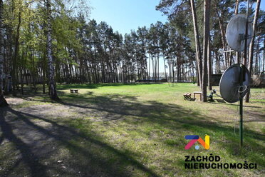 166390227 - zdjęcie nr 3