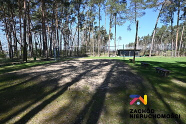 166390227 - zdjęcie nr 4