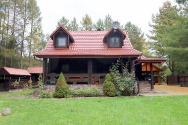 2464 - zdjęcie nr 4