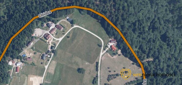 233545 - zdjęcie nr 2