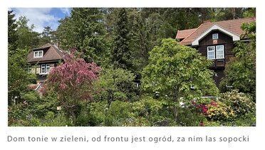 837928 - zdjęcie nr 2