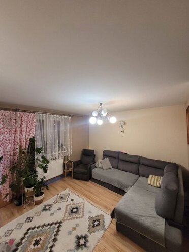 835282 - zdjęcie nr 2
