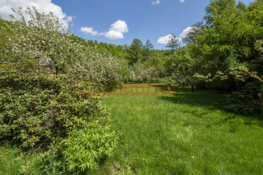 15058 - zdjęcie nr 3
