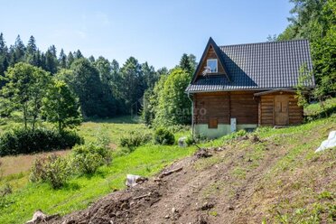 3172 - zdjęcie nr 2