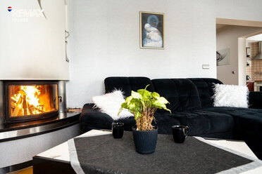 REMAX-4067/3123/ODS - zdjęcie nr 3