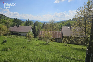 REMAX-155-DS-INVEST - zdjęcie nr 2