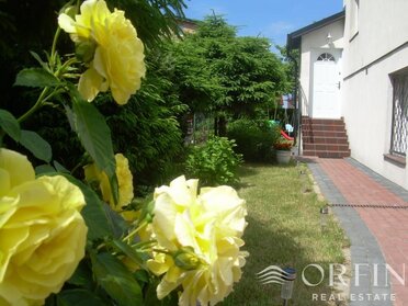 OR016953 - zdjęcie nr 2
