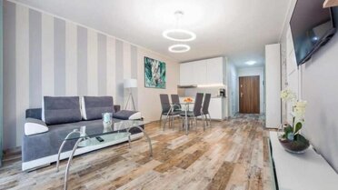 24755 - zdjęcie nr 4