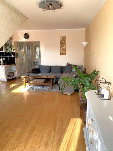 24597 - zdjęcie nr 3