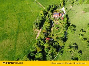SDPARI485 - zdjęcie nr 4