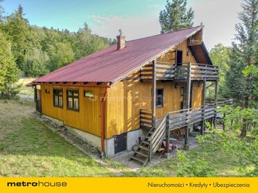 SDZAPU338 - zdjęcie nr 2