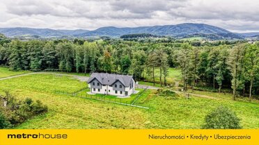 SDLEMY371 - zdjęcie nr 3