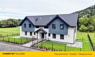 SDDOGA961 - zdjęcie nr 3