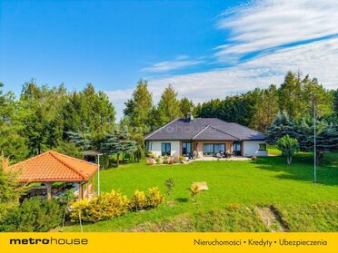 SDGUDU831 - zdjęcie nr 3