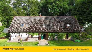 SDDOVY237 - zdjęcie nr 2