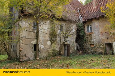 SDDUVO887 - zdjęcie nr 3