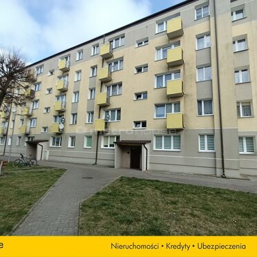 SMJAJA256 - zdjęcie nr 2