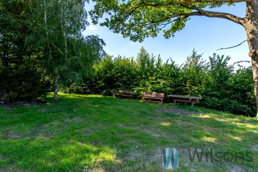 WIL168673 - zdjęcie nr 4