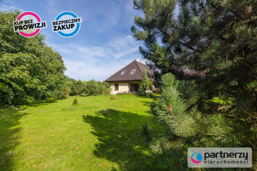 PAN171297 - zdjęcie nr 4