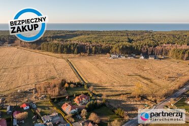 PAN963418 - zdjęcie nr 4