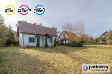 PAN336347 - zdjęcie nr 2