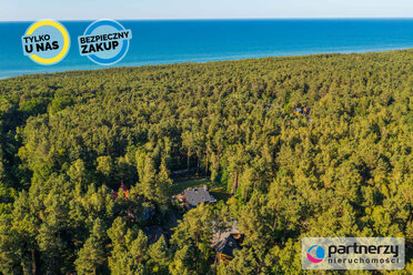 PAN844297 - zdjęcie nr 4