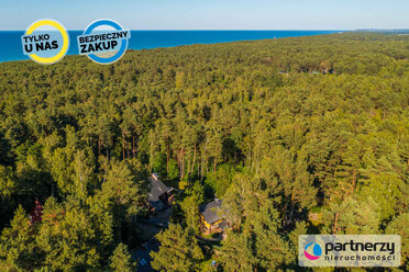PAN478536 - zdjęcie nr 4