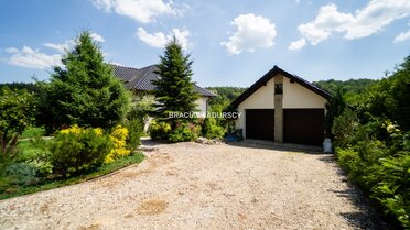 BS1-DS-307972-41 - zdjęcie nr 2