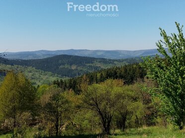 15409/3685/ODS - zdjęcie nr 4