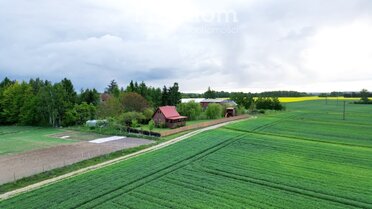 15449/3685/ODS - zdjęcie nr 4