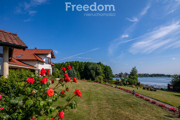 15905/3685/ODS - zdjęcie nr 3
