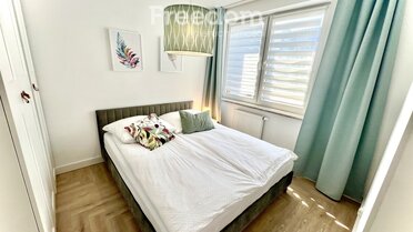 39921/3685/OMS - zdjęcie nr 4